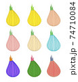 Set of multicolored onion 74710084