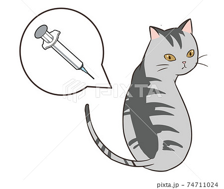 ワクチン接種 猫 後ろ姿のイラスト素材