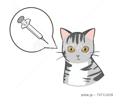 ワクチン接種 猫 ワクチン接種 猫 74711026