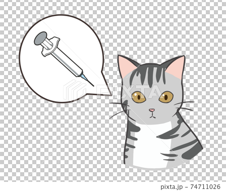 ワクチン接種 猫 ワクチン接種 猫 74711026