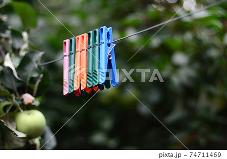 Clothespins on a rope hanging outside house and apple tree Clothespins on a rope hanging outside house and apple tree 74711469