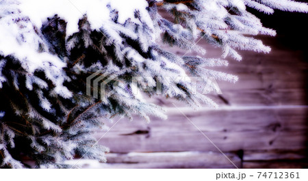 Fir tree covered with snow on wooden board 74712361