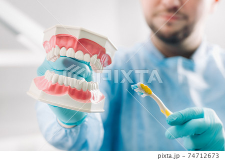 A model of a human jaw with teeth and a toothbrush in the dentist's hand A model of a human jaw with teeth and a toothbrush in the dentist's hand 74712673