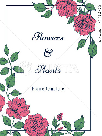 薔薇の花と葉のフレームテンプレートのイラスト素材