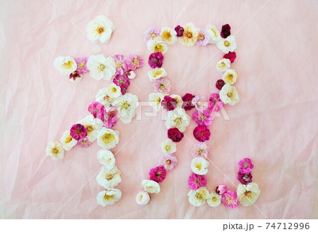 ピンクの不織布にたくさんの紅梅と白梅の花で作った祝の漢字の写真素材