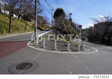 2月　世田谷665ビール坂(成城四丁目の国分寺崖線) 74713013