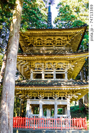 杉と三重塔(縦) 杉と三重塔(縦) 74713369