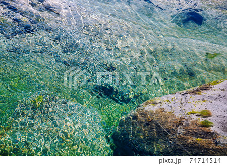 There is crystal clear water beside the stone. Green lichens in the water. 74714514
