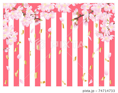 金色の紙吹雪が舞う、桜と紅白幕の背景 金色の紙吹雪が舞う、桜と紅白幕の背景 74714733