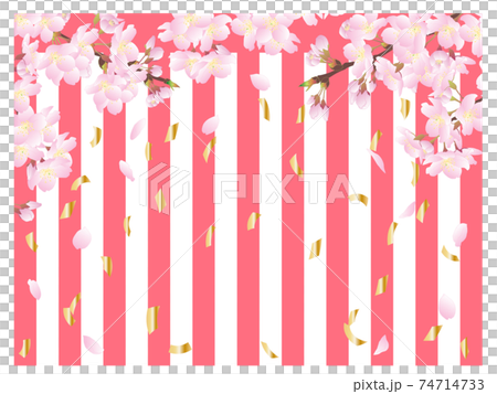 金色の紙吹雪が舞う、桜と紅白幕の背景 金色の紙吹雪が舞う、桜と紅白幕の背景 74714733