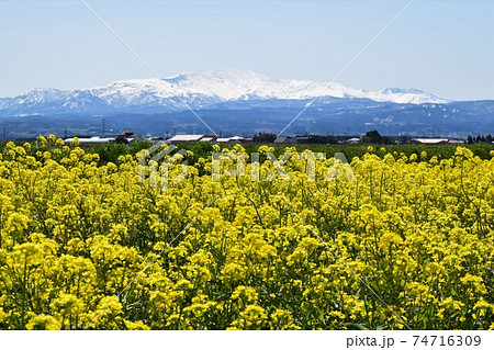 月山(がっさん)日本百名山 月山(がっさん)日本百名山 74716309