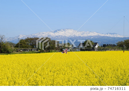 月山（がっさん）日本百名山 74716311