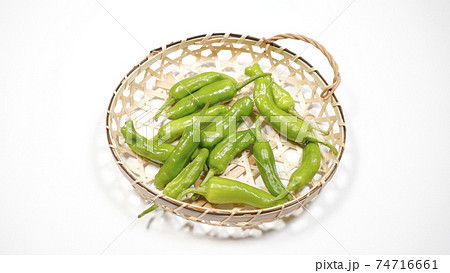 ししとう 白背景 ししとう 白背景 74716661