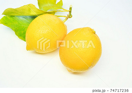 瀬戸田レモン 瀬戸田レモン 74717236
