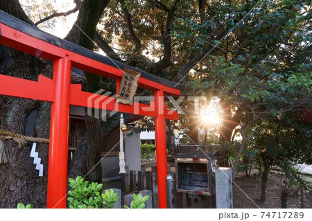 公園にある小さな鳥居 74717289