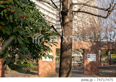 豊島馬場遺跡公園／東京・北区豊島 74717475