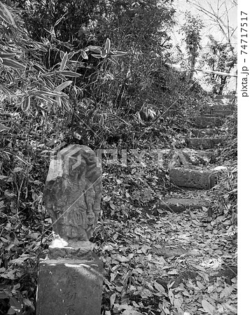 埼玉県和光市・富士嶽神社 74717517