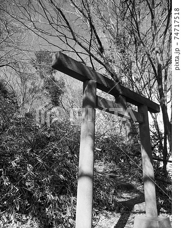 埼玉県和光市・富士嶽神社 74717518