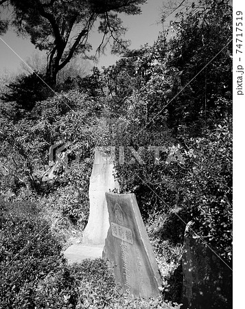 埼玉県和光市・富士嶽神社 74717519