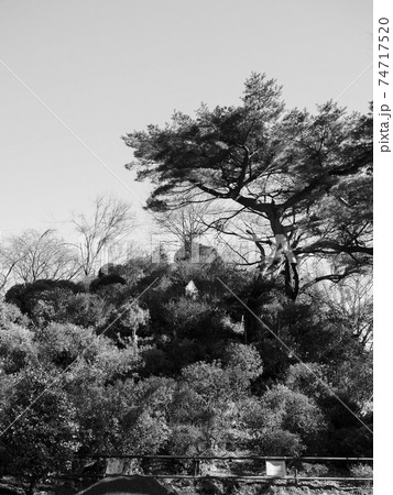 埼玉県和光市・富士嶽神社 74717520