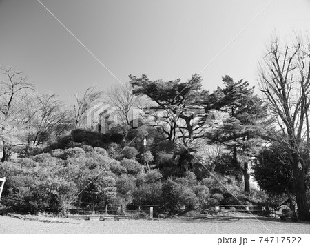 埼玉県和光市・富士嶽神社 74717522
