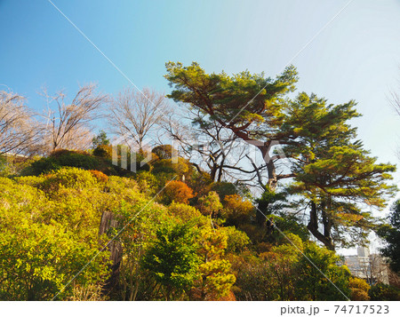 埼玉県和光市・富士嶽神社 74717523