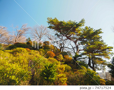 埼玉県和光市・富士嶽神社 74717524