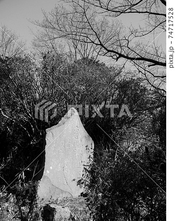 埼玉県和光市・富士嶽神社 74717528