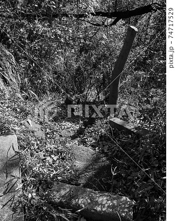 埼玉県和光市・富士嶽神社 74717529