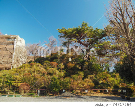 埼玉県和光市・富士嶽神社 74717564