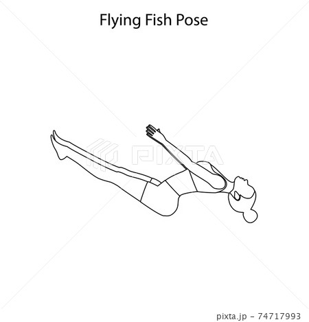 Flying fish pose yoga workout outline. Healthy lifestyle vector illustration 74717993