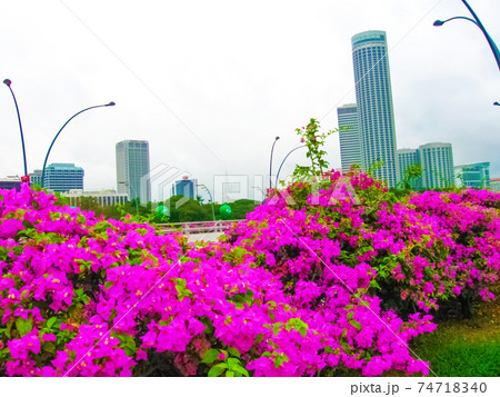 Landscape of the Singapore financial district. Image blurred in postproduction 74718340