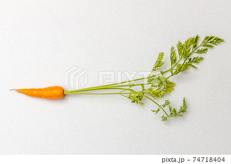 かわいいにんじん Cute beautiful fresh carrot photo かわいいにんじん Cute beautiful fresh carrot photo 74718404