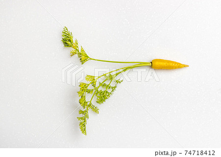 かわいいにんじん Cute beautiful fresh carrot photo かわいいにんじん Cute beautiful fresh carrot photo 74718412