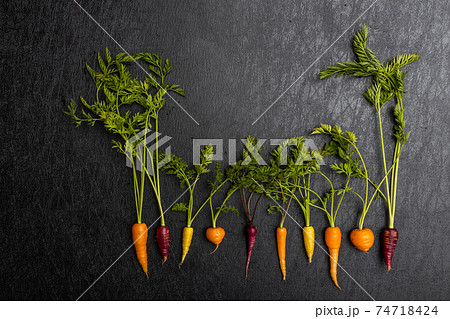 かわいいにんじん Cute beautiful fresh carrot photo かわいいにんじん Cute beautiful fresh carrot photo 74718424