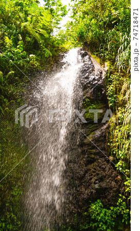 A waterfall at the Botanical Gardens in Saint Lucia 74718471