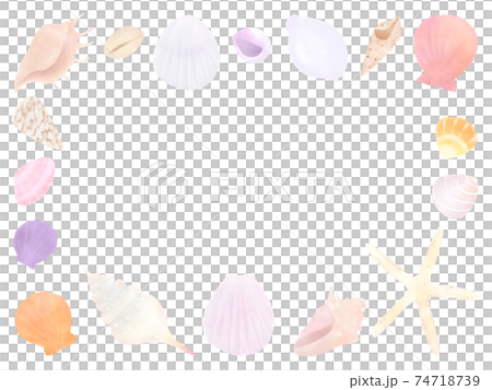 貝殻　フレームイラスト 74718739
