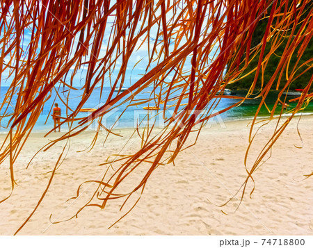 The Caribbean tropical beach The Caribbean tropical beach 74718800