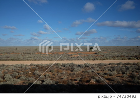 オーストラリア大陸横断鉄道インディアン・パシフィック号（Indian Pacific）　ナラボー平原 74720492