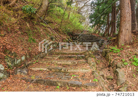 春の横手城跡の七曲坂の風景 春の横手城跡の七曲坂の風景 74721013