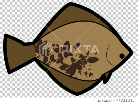 カレイのイラストのイラスト素材