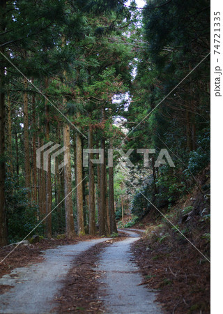林道 74721335