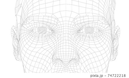 Wireframe portrait of a young beautiful girl Wireframe portrait of a young beautiful girl 74722218