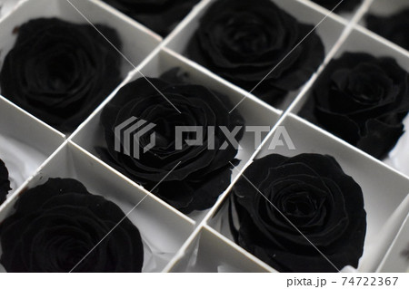 黒いバラのプリザーブドフラワーの写真素材