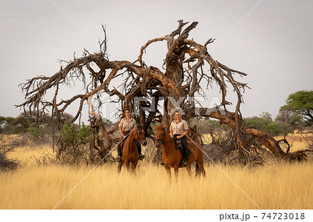 Two women on horseback alongside dead tree Two women on horseback alongside dead tree 74723018