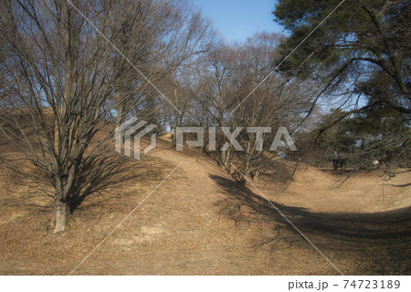 国指定史跡　中二子古墳の冬の風景 74723189