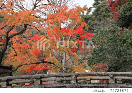紅葉・箕面瀧安寺 紅葉・箕面瀧安寺 74723372