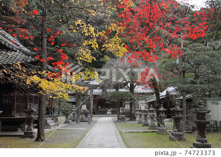 紅葉・箕面瀧安寺 74723373