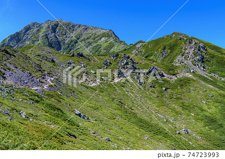夏の北岳 夏の北岳 74723993