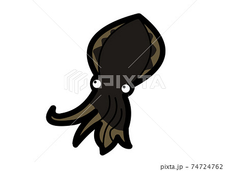 アオリイカのイラストのイラスト素材